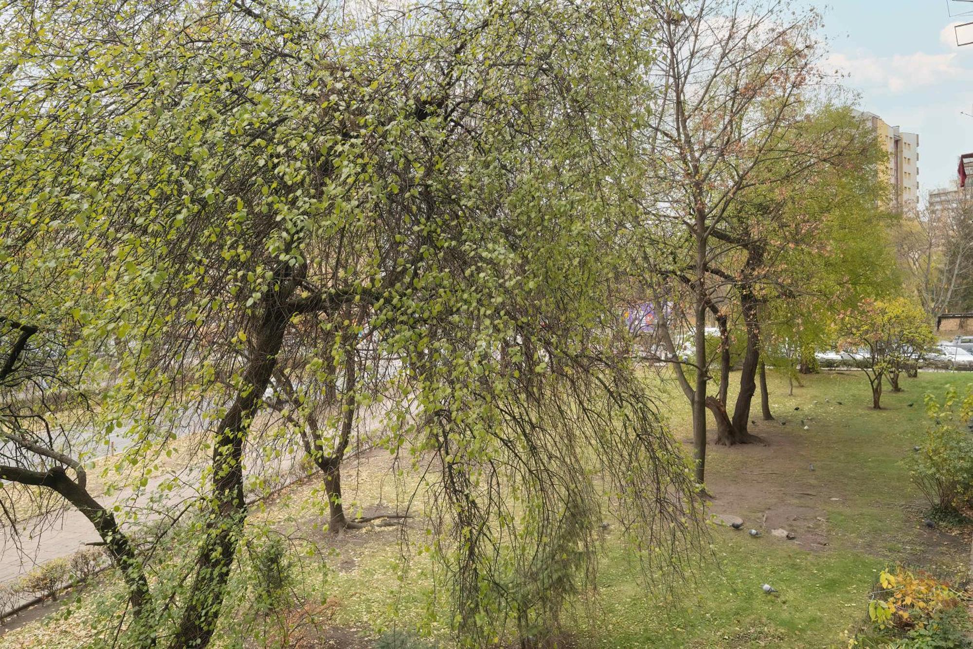Beautiful For 4 People By Renters Breslavia